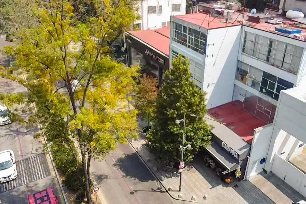 ¡Nuevo! Bamboo Celebrity Vila Cidade do México Exterior foto